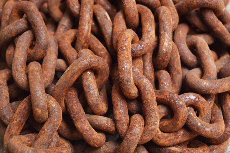 Dead Links Walking: Inside the Underground Mission to Rescue the Web Before It Eats Itself